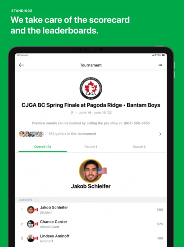 BigShooterGolf screenshot 2