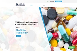 ANIKEMLABS – SEO AND DIGITAL MARKETING CASE STUDY
