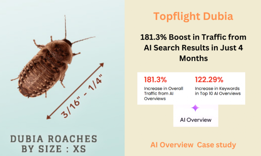 181.3% Increase in Overall Traffic from AI Overviews screenshot 1