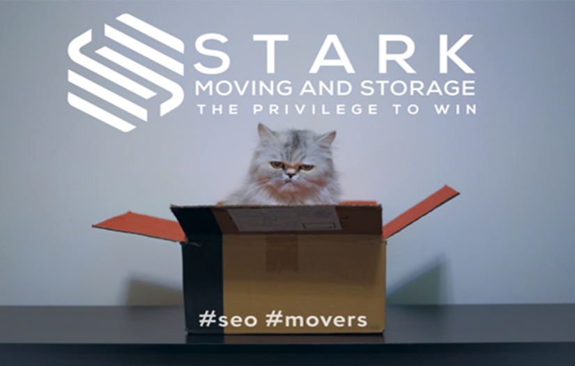Website Promotion | Starkmovers screenshot 1