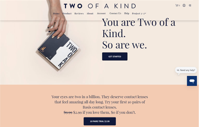 Two of a Kind: Custom Subscription Model screenshot 1