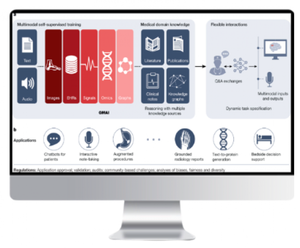 AI-Based Legal-Medical DP System screenshot 1