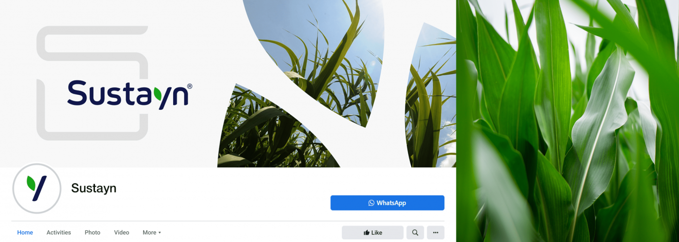 Sustayn | Branding development screenshot 3