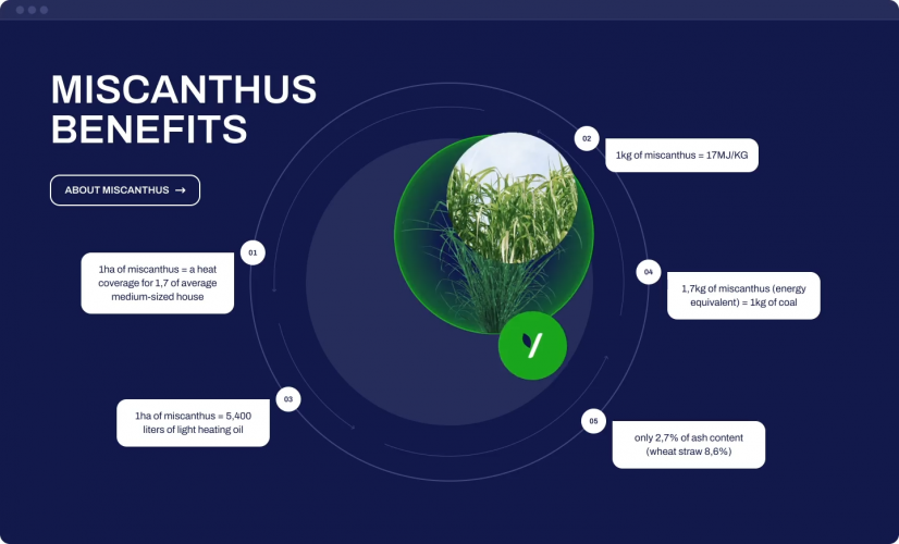 Sustayn | Green energy vendor promo website screenshot 1