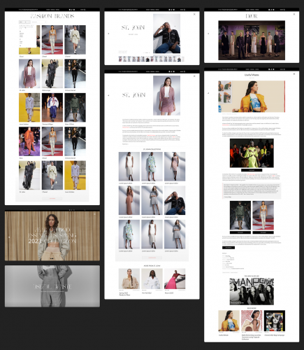 The Fashionography | Web design & Development screenshot 2