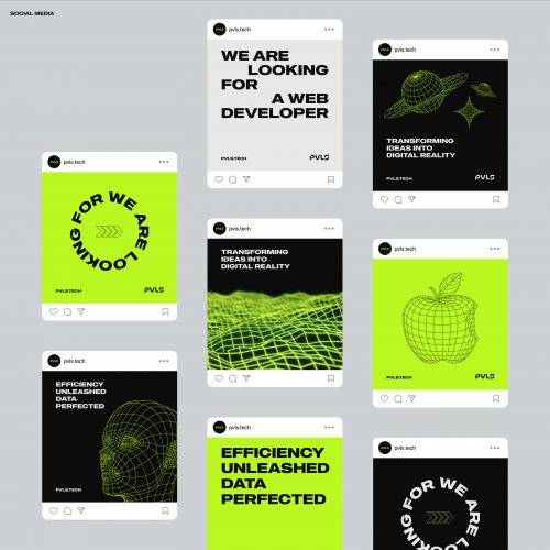 PVLS | Logo & Brand Identity screenshot 2