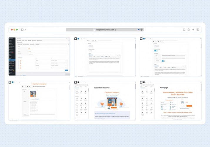 Magnum Insurance Website & User Cabinet screenshot 2