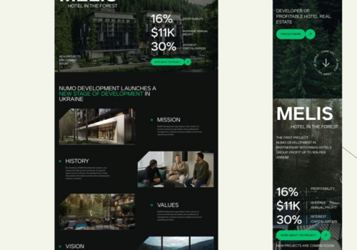 WebFlow Design and Development for Numo screenshot 1