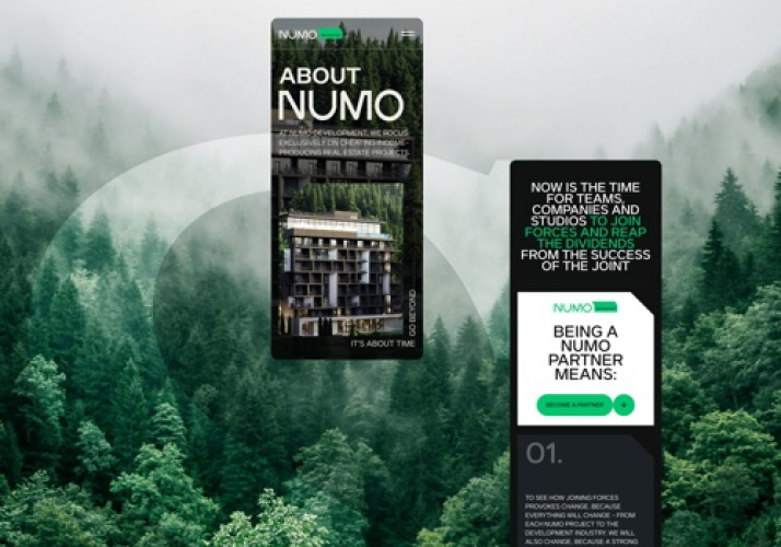 WebFlow Design and Development for Numo screenshot 2