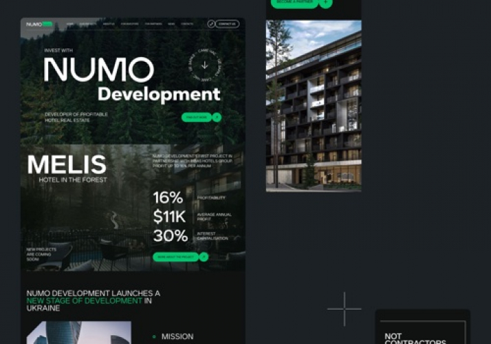 WebFlow Design and Development for Numo screenshot 3