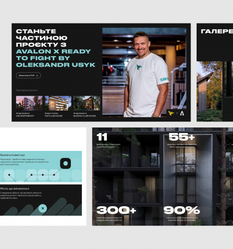 Website Development & Design for Ribas Invest screenshot 3