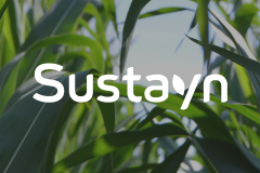 Sustayn | Branding development