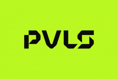 PVLS | Logo & Brand Identity
