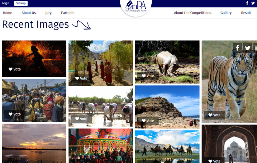 India Photography Awards screenshot 4