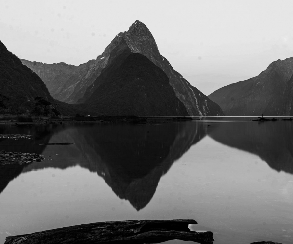 Identity Design screenshot 1