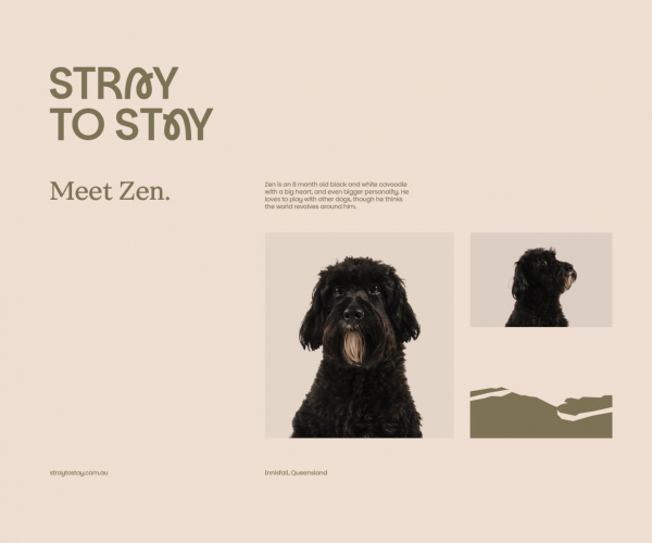 Brand Identity screenshot 4