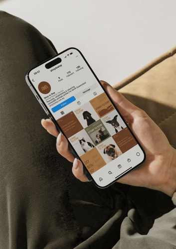 Brand Identity screenshot 1