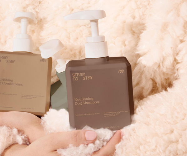 Brand Identity screenshot 2