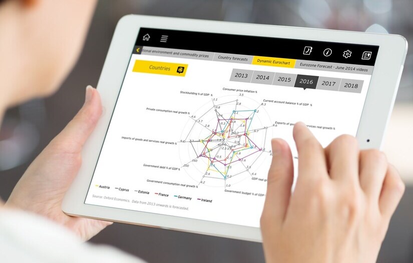 Ernst & Young screenshot 1