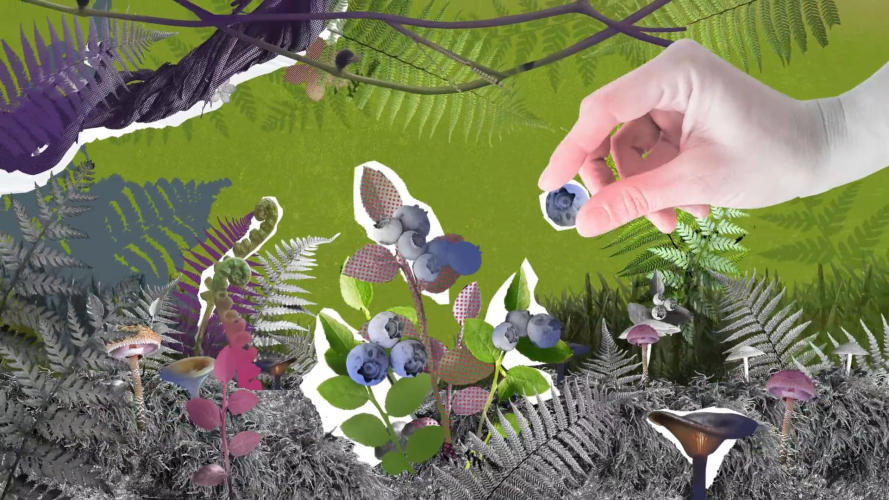 ImmBoo – NatuReal Deal  - advertising animation screenshot 3