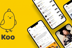 How Linguidoor App Localization helped Koo to achieve 60 Million downloads in 7 countries