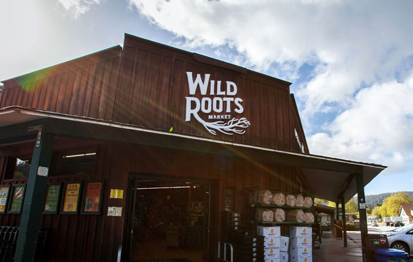 Wild Roots screenshot 2