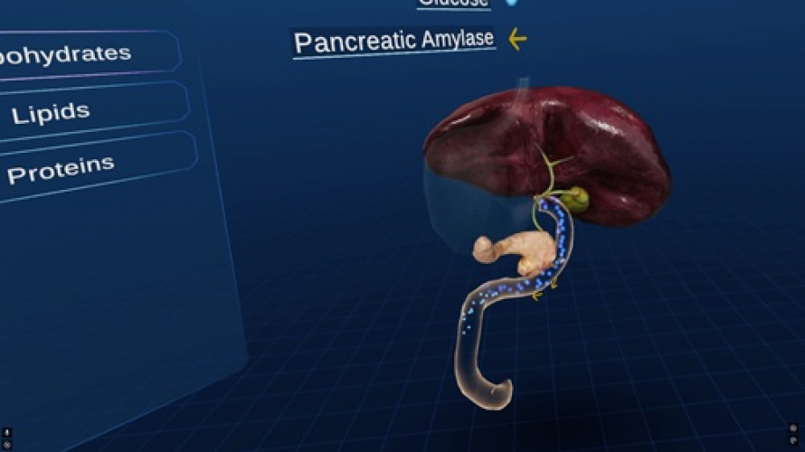 How NIA Jaipur is Modernizing Ayurveda Education with VR Anatomy & Physiology Training screenshot 2