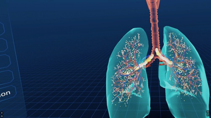 How NIA Jaipur is Modernizing Ayurveda Education with VR Anatomy & Physiology Training screenshot 1