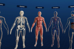 How NIA Jaipur is Modernizing Ayurveda Education with VR Anatomy & Physiology Training