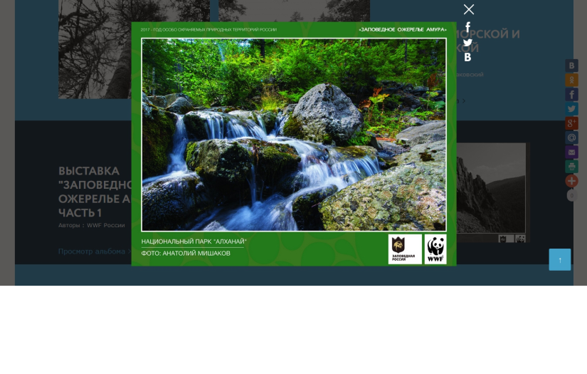 WWF Far-Eastern branch website design screenshot 3