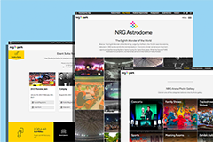 Web Design for NRG Park