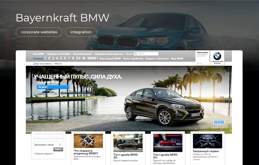 BMW Bayernkraft screenshot 1