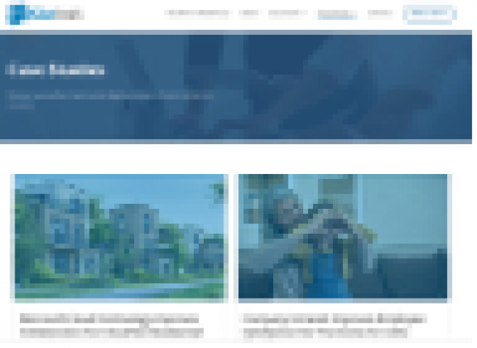 BONZAI Intranet Lead Generation Strategy screenshot 1