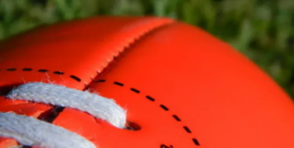 Fantasy AFL Mobile App Development screenshot 1