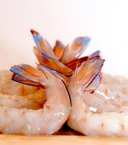 Streamlining Communication and Operations for a Fishing Co-operative screenshot 1