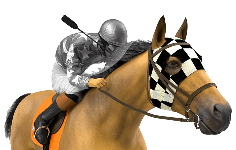 Meterox - The Horse Racing Game screenshot 1