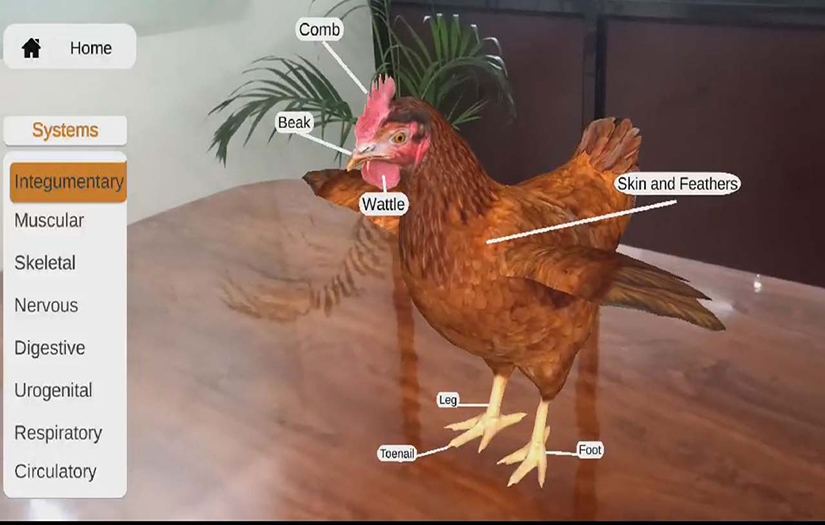 Augmented Reality - Chick screenshot 1