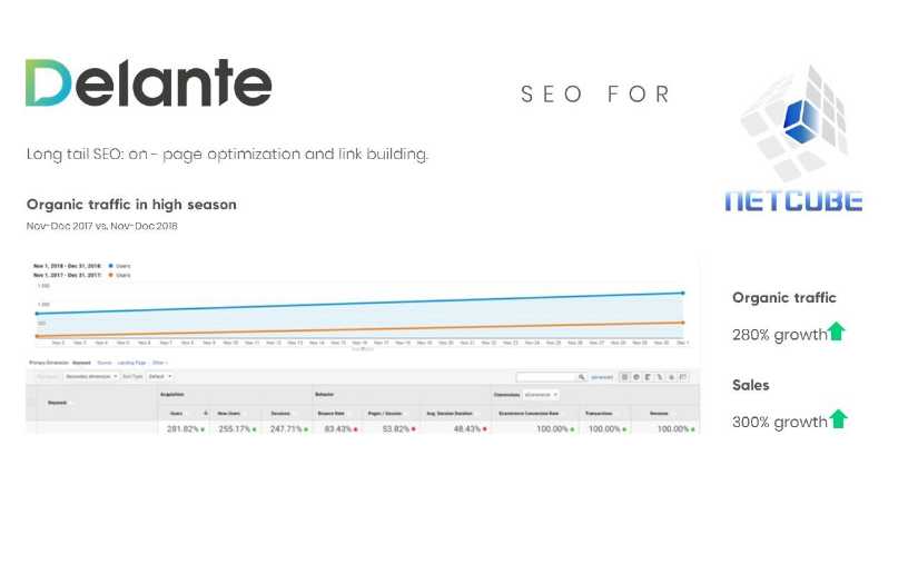 SEO for Netcube screenshot 1