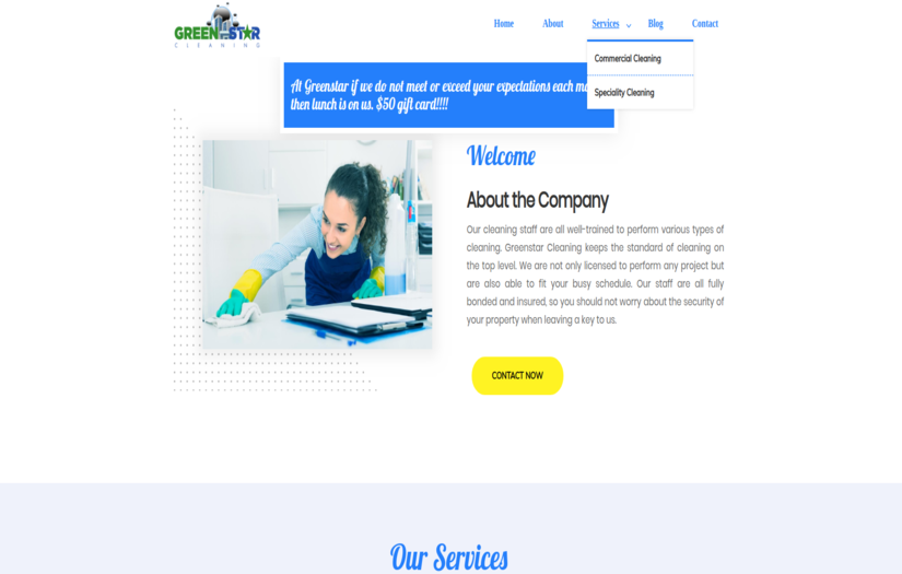 Greenstarscleaning.com screenshot 3