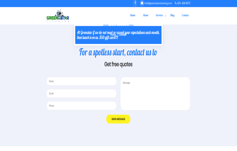 Greenstarscleaning.com screenshot 4