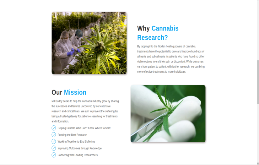 Mj Buddy screenshot 7