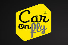 Sharing economy solutions for transport software company
