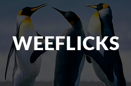 WeeFlicks