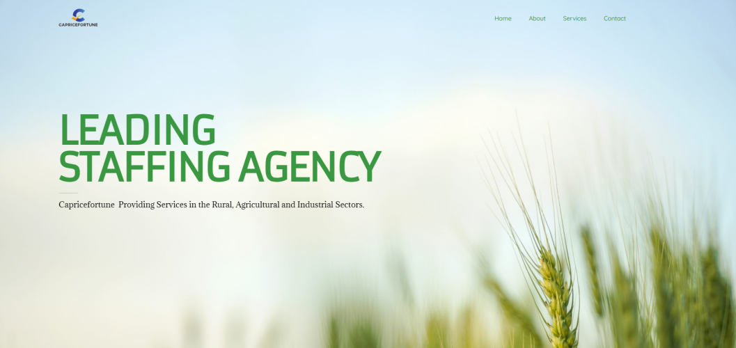 Staffing Agency In Portugal screenshot 1