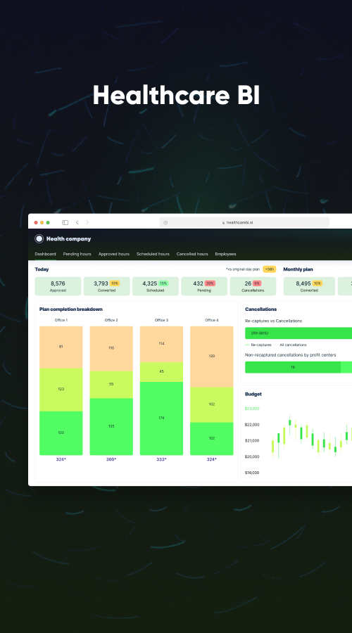 Healthcare BI screenshot 1