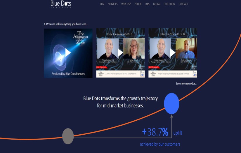 Blue Dots Partners, LLC screenshot 1