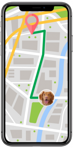 Dog Walker App screenshot 1