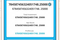 ICO and Crypto Native Wallet