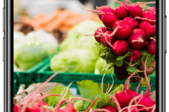 SnackHack: Blockchain for Food Supply Chain Industry Success Story