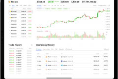 Accounting Platform with Crypto Assets